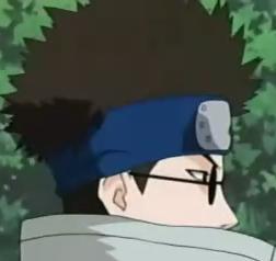 Shino_oci.jpg