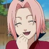 sakura.jpg