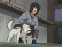 dil441_thumbnail.jpg